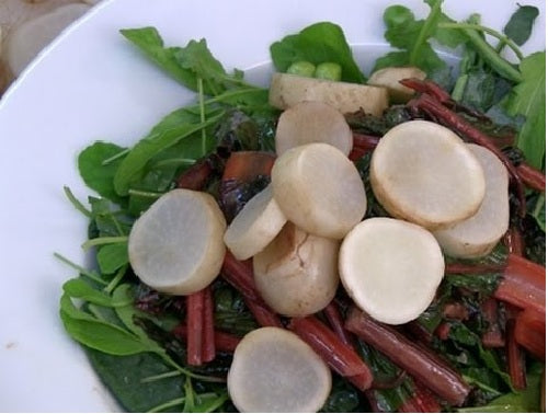 White Albino Beets 50 - 300 - 2 Oz Seeds Super Sweet no stain!