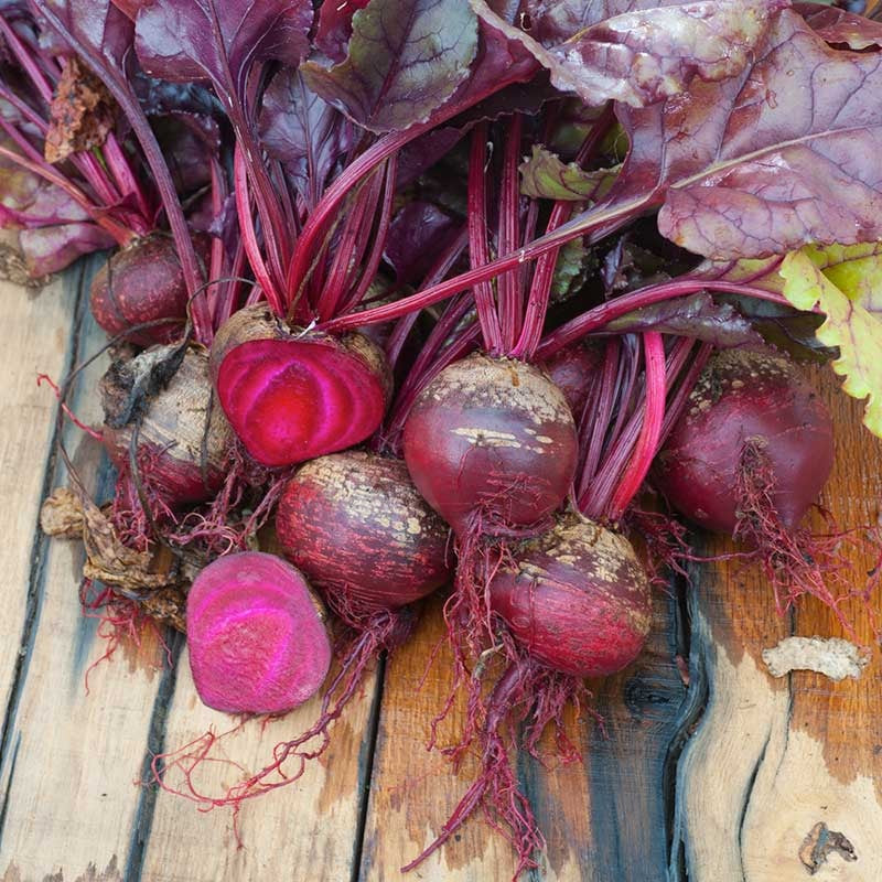 Beets Bulls Blood 25 - 200 - 2 Oz Seeds Heirloom 45 days! Highest Nutritional value Ornamental