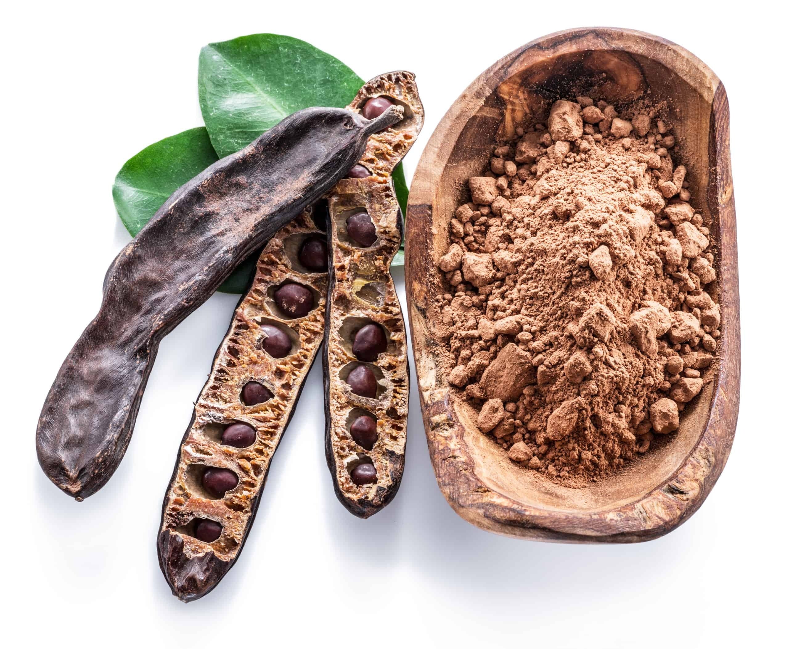 Carob Tree Seeds select 10 - 30 - 100 - 240 Seeds St. John's Bread Ceratonia siliqua