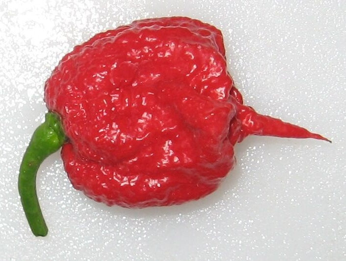 COMBO PACK Ghost pepper Carolina Reaper Trinidad Moruga Scorpion Hot chili seeds