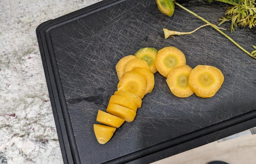 Solar Yellow Carrot 100, 300, 1000, 2000 Seeds Heirloom colorful Beautiful rare