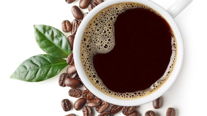 Coffee Arabica Tree Beans 10 - 110 Seeds Air purifying! Houseplant decor Easy to grow!