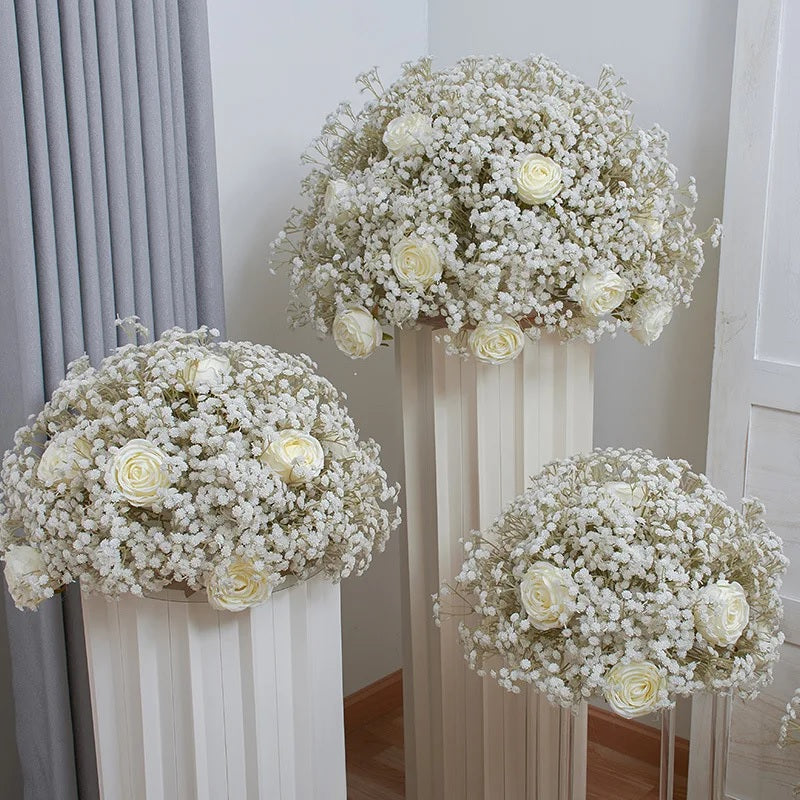Baby's Breath Flower 100 -1000 -5000 Seeds White Gypsophila Elegans easy quick bouquets drought tolerant