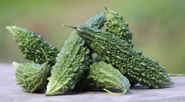 Bitter Gourd Melon- Futo - Spindle 10 - 40 Seeds Oriental Khổ qua rừng gai Asian Heirloom