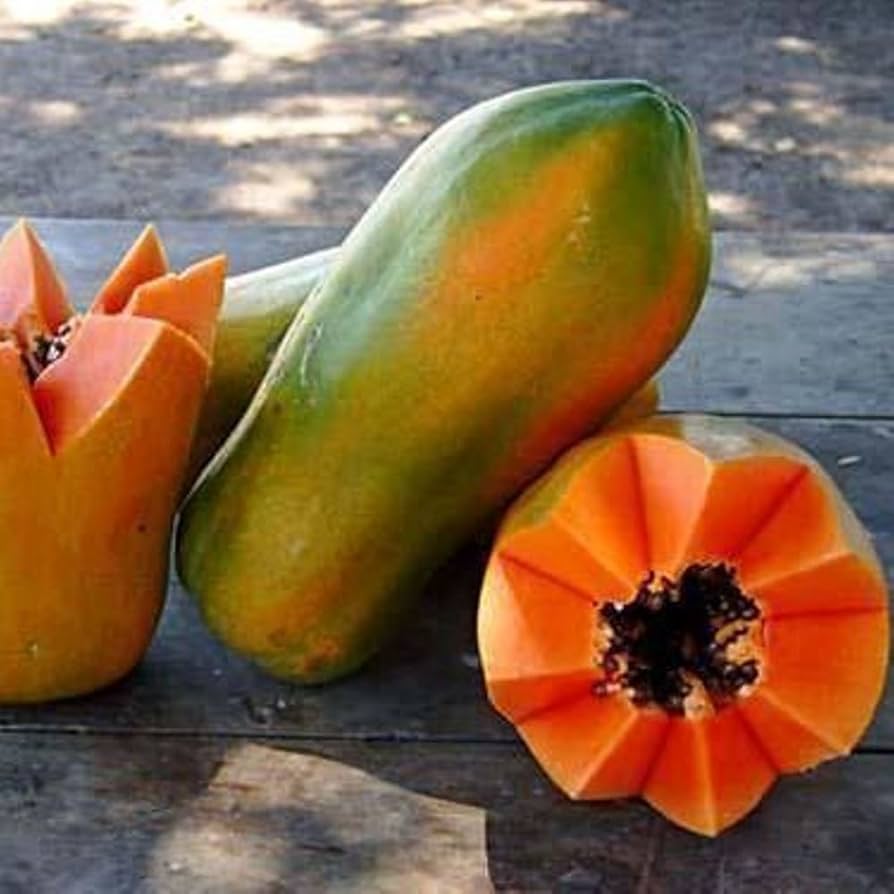 Meradol Miradol Caribbean Red Caribbean Sunrise Papaya Plant 20 Seeds Big Fruit