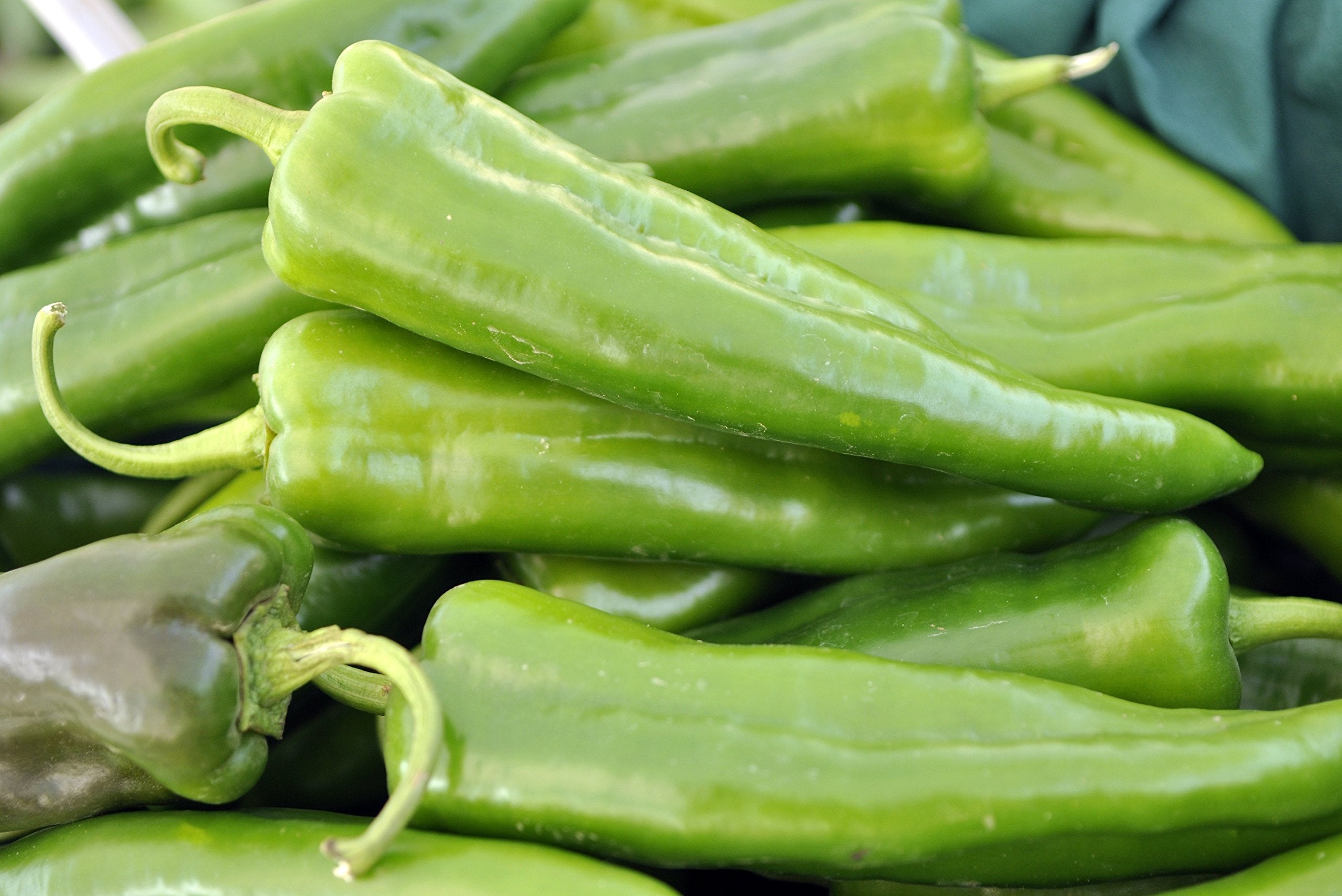 Anaheim Chili Hot Pepper 25 - 4000 Seeds Heirloom Heat Drought Tolerant