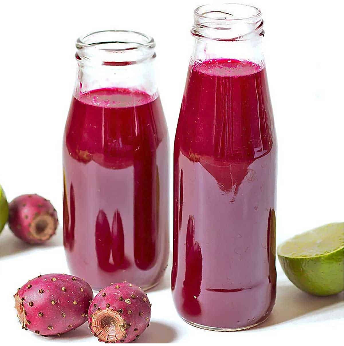 Prickly pear 10 - 100 - 1000 Seeds Engelmann's Cactus Apple Opuntia engelmannii Kern beavertail