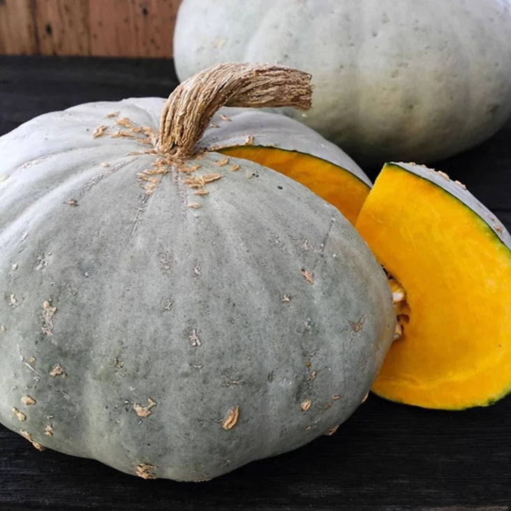 Sweet Meat Winter Squash 10 - 100 Seeds High Yielding Vigorous vines Pumpkin Pie!