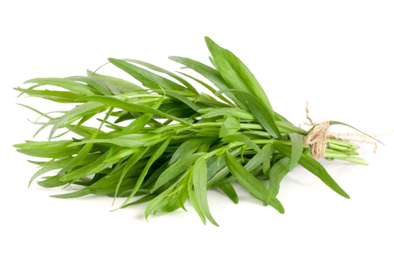 Russian Tarragon select quantity: 100 - 5000 Seeds Herb Dragon Wort Culinary Planting
