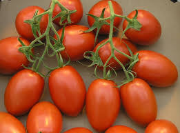 Red Roma Tomato 50 - 500 - 4000 Seeds Paste Sauce High yielding Heirloom