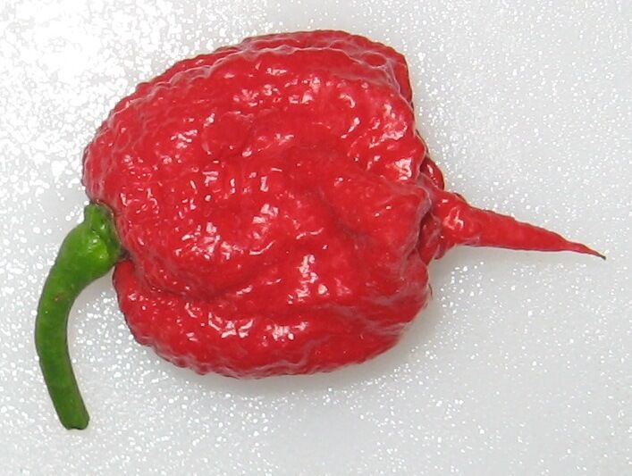 10 Carolina Reaper Seeds HP22B Hottest pepper on Earth! World Record Extreme HOT