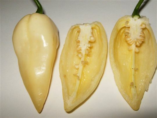 15 Seeds White Bhut Jolokia Ghost Pepper Hot Chile Chili Rare Naga Extreme Spicy