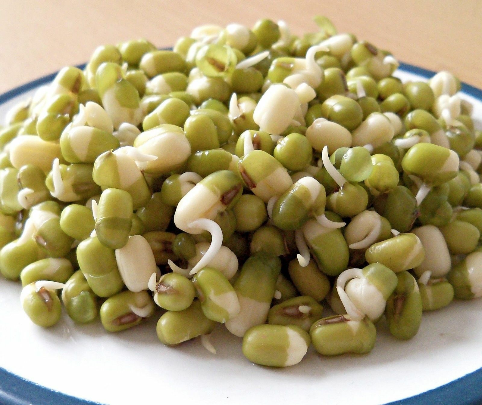 30 Seeds Mung Bean Mash Beans Munggo Green soy Vigna radiata F96 delicious sprout