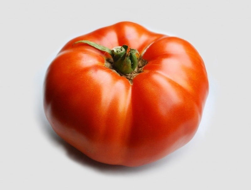 Brandywine RED Tomato 30 -5000 Seeds Heirloom Open Pollinated fresh Non-GMO Big
