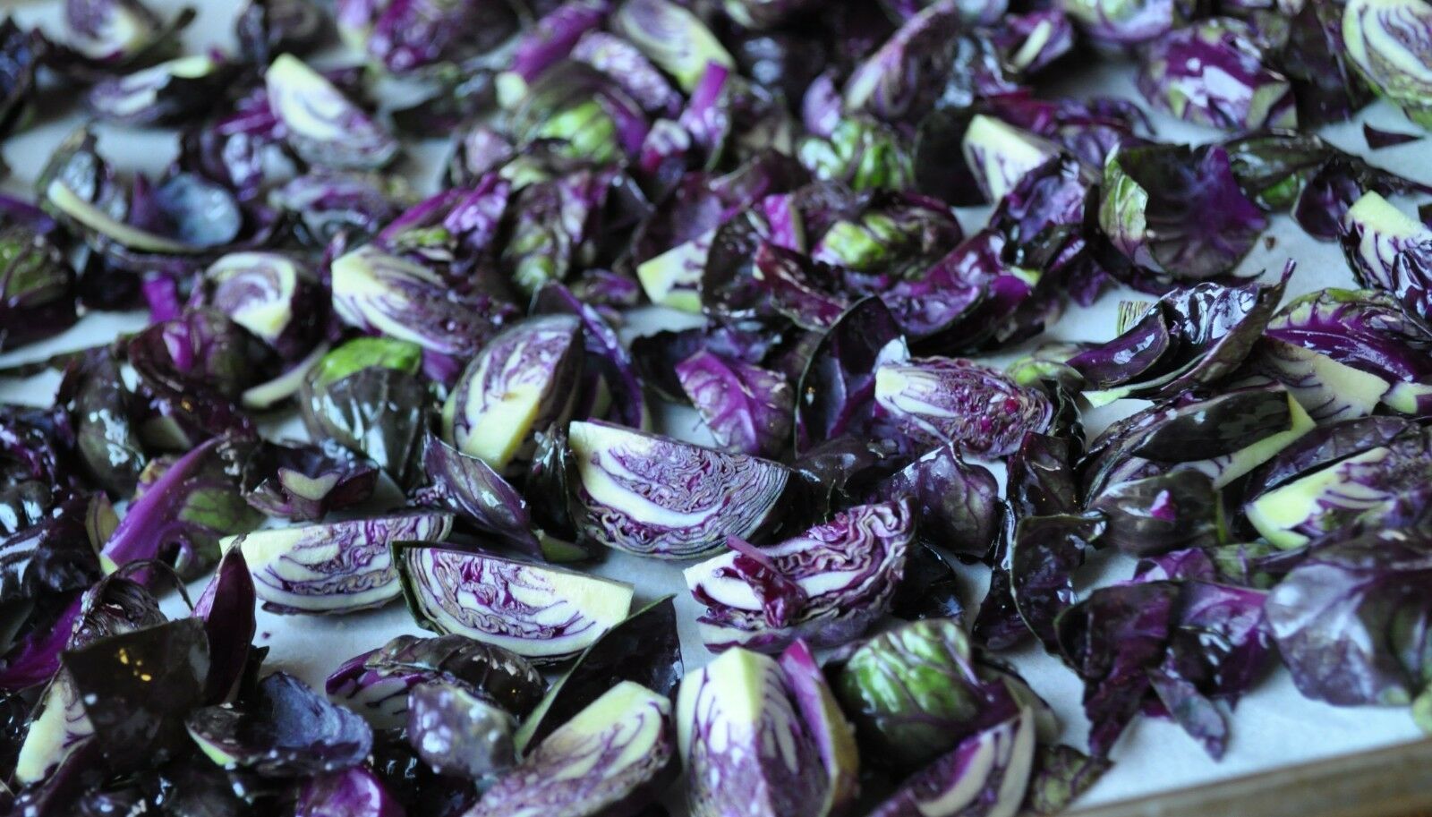 Falstaf Red Brussels Sprouts 50 - 400 Seeds Rare Bulk Heirloom Ornamental Garden