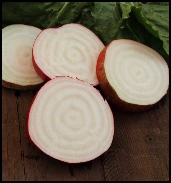 Mammoth Red Mangle beet 25 Seeds Giant up to 25 POUNDS! Heirloom non-GMO Huge