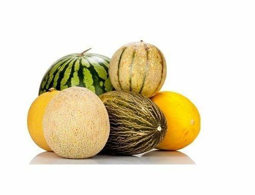 Many Varieties of Rare Melon Seeds Watermelon Musk Big Cantaloupe Garden