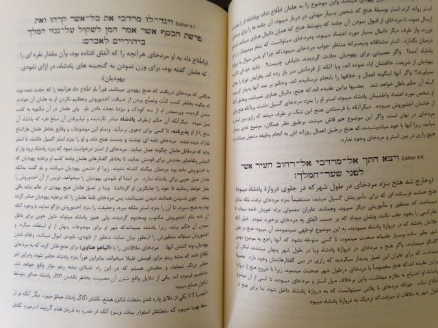 Megilat Esther commentary in Persian Meam Loez Book on Purim Jewish Holiday Rare