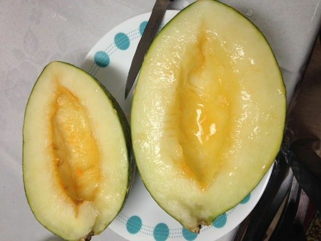 PIEL DE SAPO MELON SEED Santa claus Toadskin melon EXTREMELY SWEET RARE HEIRLOOM