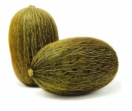 PIEL DE SAPO MELON SEED Santa claus Toadskin melon EXTREMELY SWEET RARE HEIRLOOM