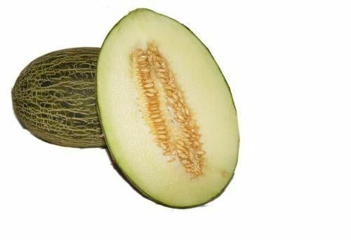 PIEL DE SAPO MELON SEED Santa claus Toadskin melon EXTREMELY SWEET RARE HEIRLOOM