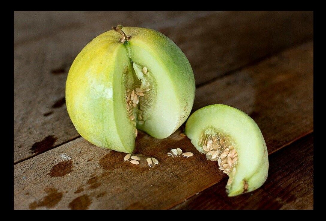 Sakata's Sweet Melon 15 seeds Sweet Fruits can be grown on Trellis Easy Rare