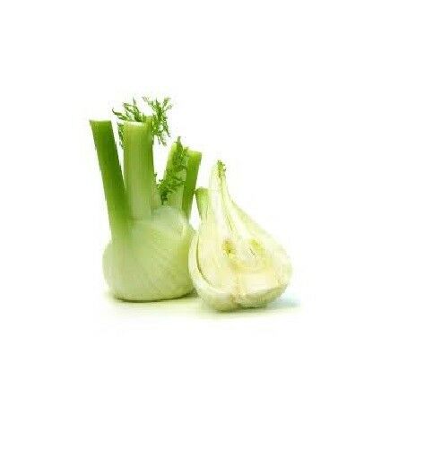 Florence Fennel Seeds Anise Aroma hardy perennial herb Landscape Flower Licorice