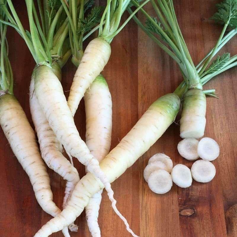 Lunar White Carrots 300 - 32,000 Seeds Coreless RARE Bulk Tastiest Wholesale