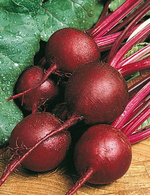 Ruby Queen Beet 60 - 1 LB Seeds Buttery Retains color Exceptionally tender Bulk
