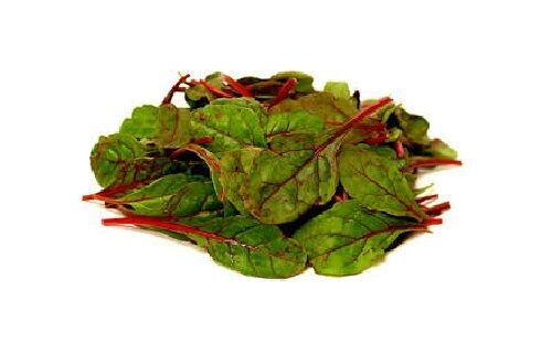 Ruby Red Swiss Chard Heirloom silverbeet 25 - 400 seeds Heirloom Bulk Wholesale