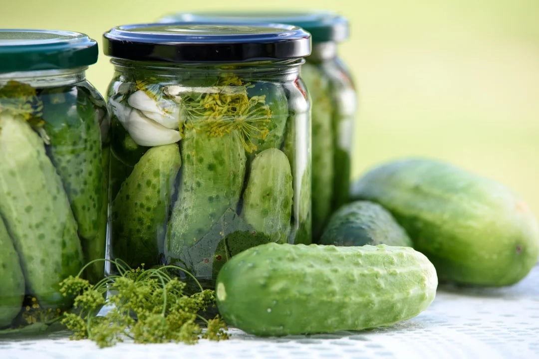 National Pickling Cucumber 25 - 400 Seeds Heirloom great for Dill pickles heavy yields