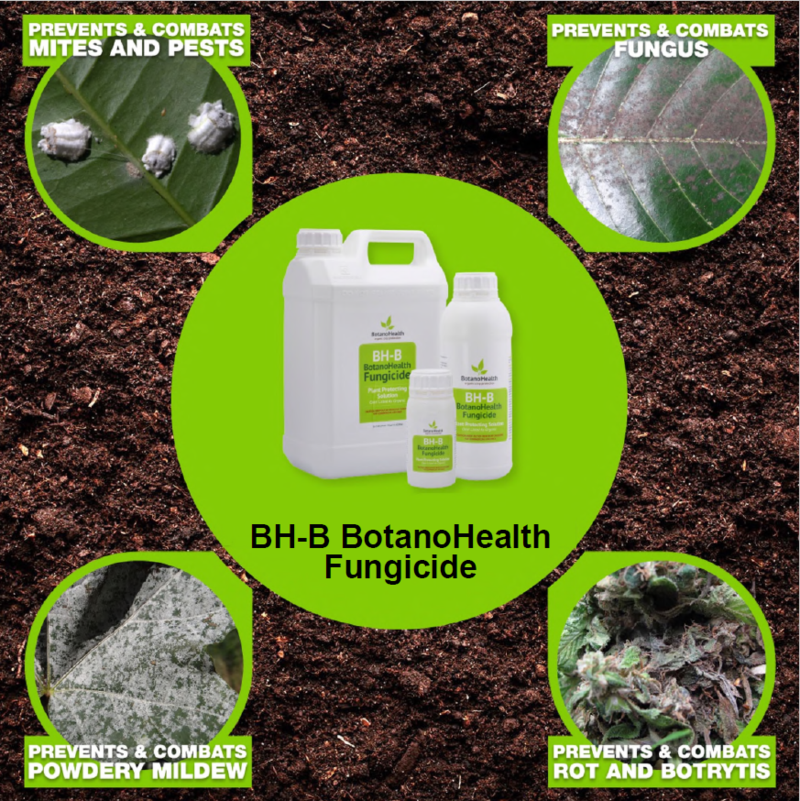BotanoHealth 2 in 1 Organic Fungicide Insecticide 250ML, 1 Liter, 5 Liters Disease & Insect Prevention & Control