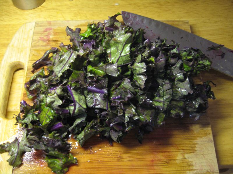 3 Live 4 - 6" inch Seedlings Red Russian Kale Very Tender Leaves Hardy Heirloom
