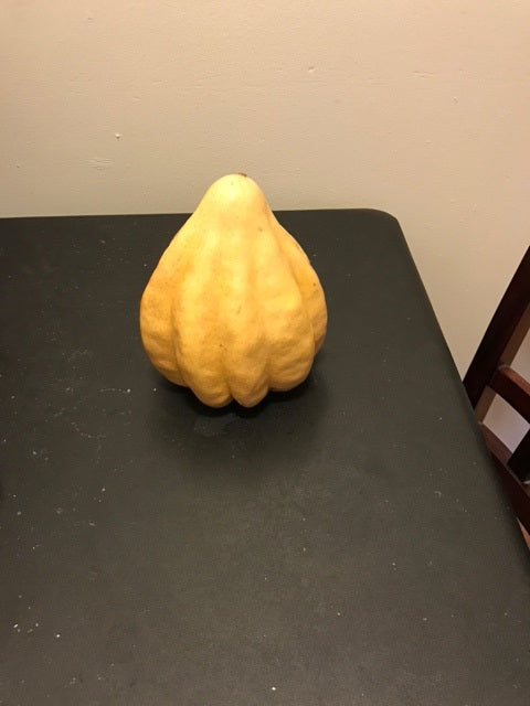 Thelma Sanders Acorn Winter Squash Heirloom 10 Seeds fresh Rare