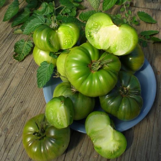 Aunt Ruby's German Green Tomato 30 - 2000 Seeds Rare Largest beefsteak 1+ LB!