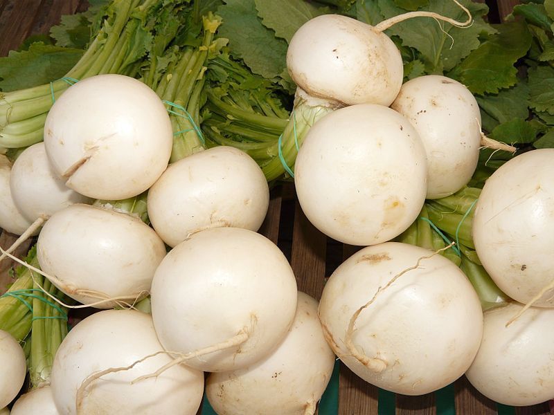 Turnip 500 - 50K Seeds Shogoin Japanese White Hakurei Asian Vegetable Plant