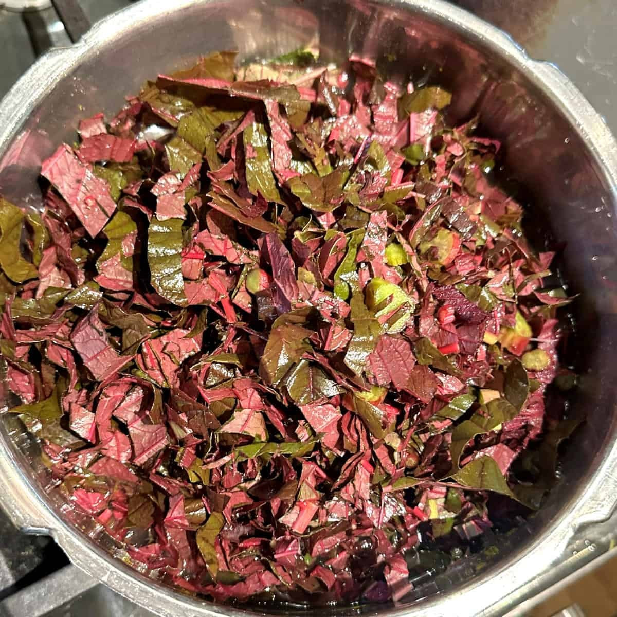 Red Garnet Sprouting Amaranth Herb Seeds 500 - 160,000 Supergrain -  Microgreens