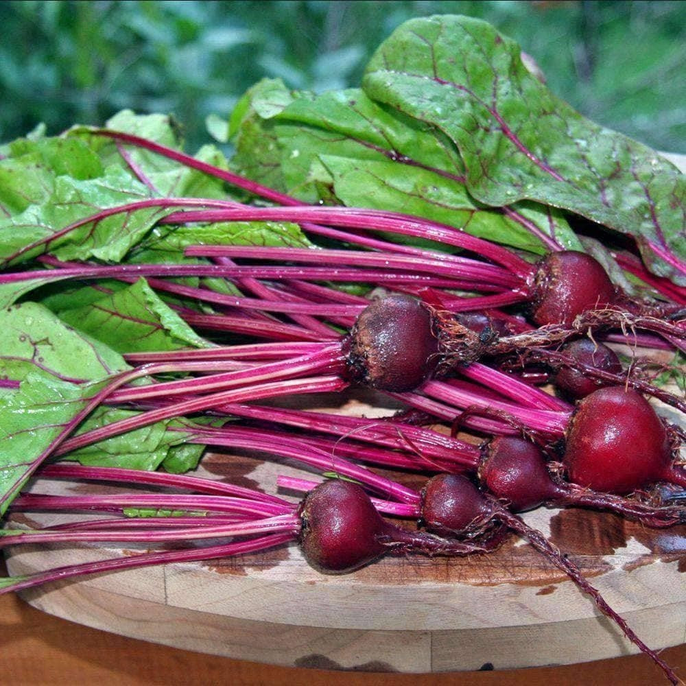 Early Wonder Tall Top Beets 50 - 2 OZ Seeds Beetroot early Colorful Heirloom