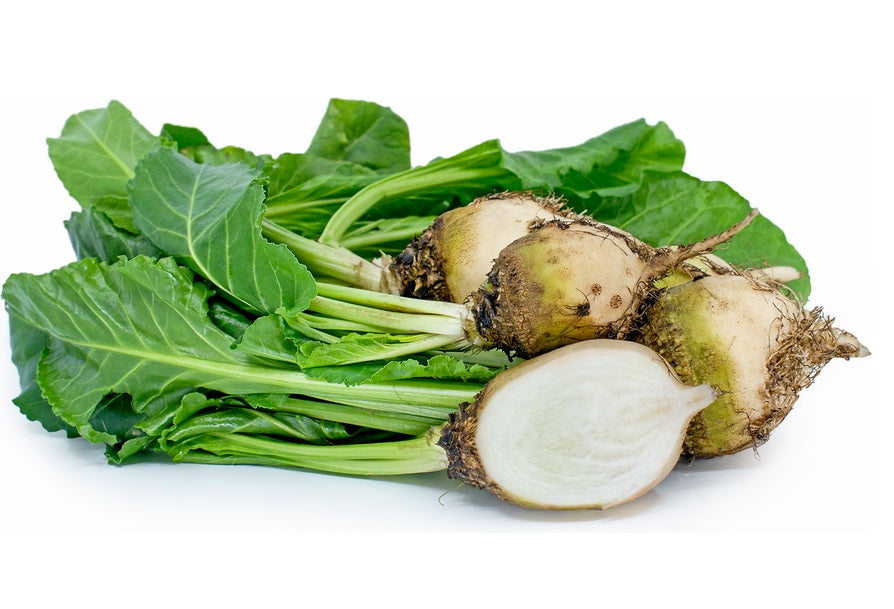 White Albino Beets 50 - 300 - 2 Oz Seeds Super Sweet no stain!