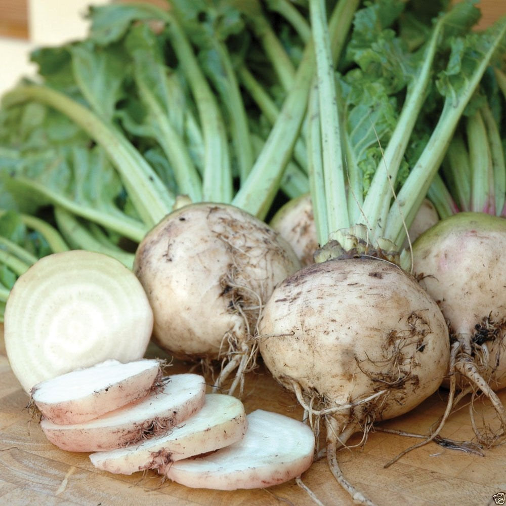 White Albino Beets 50 - 300 - 2 Oz Seeds Super Sweet no stain!