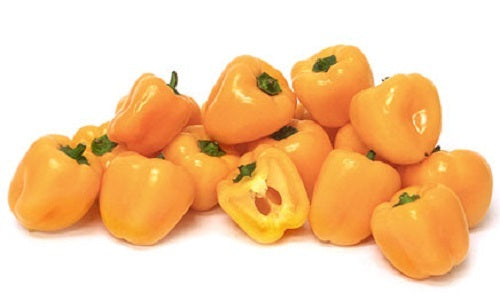 Pepper Sweet - Mini Bell Yellow 20 - 4000 Seeds Snacking