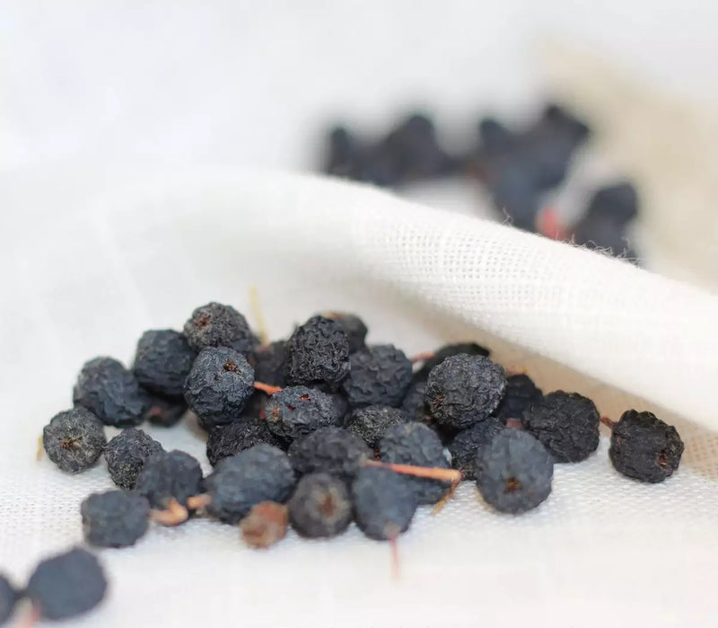 Black-Seeded Chokeberry Seeds Aronia Melanocarpa make your own jam jelly tea syrup wine!