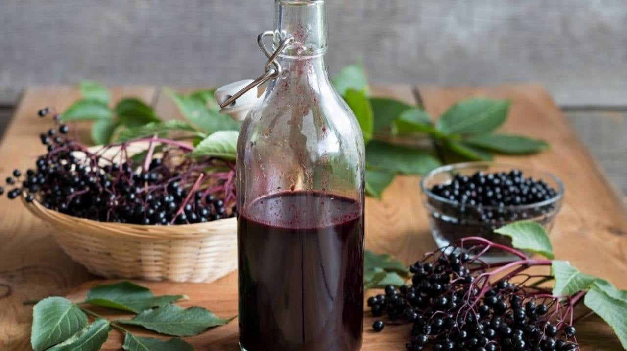 Black-Seeded Chokeberry Seeds Aronia Melanocarpa make your own jam jelly tea syrup wine!