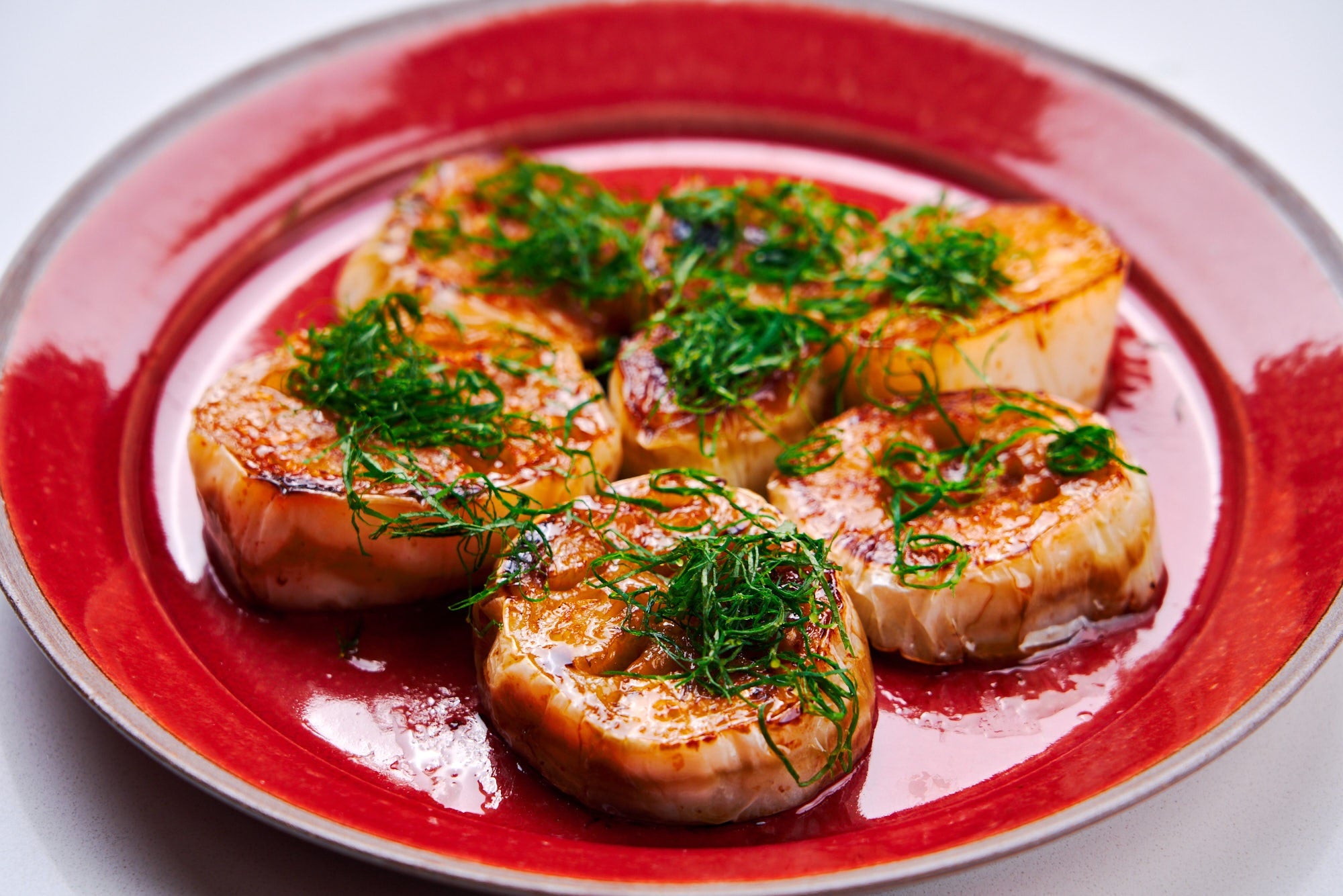 White Egg Eggplant 50 - 10K Seeds Aubergine Compact Container plant