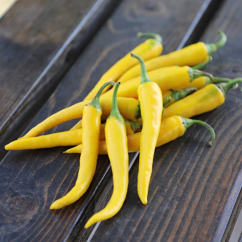 Golden Cayenne Hot Chili Pepper 25 - 200 -4000 Seeds Medium to High Heat Heirloom
