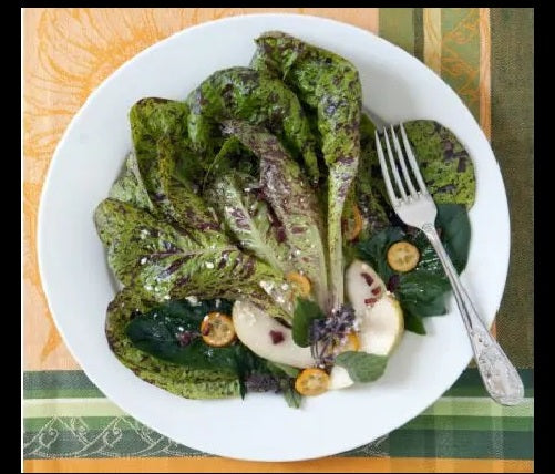 Lettuce Freckles Romaine 500 - 5000 seeds Heat resistant baby leaf non GMO