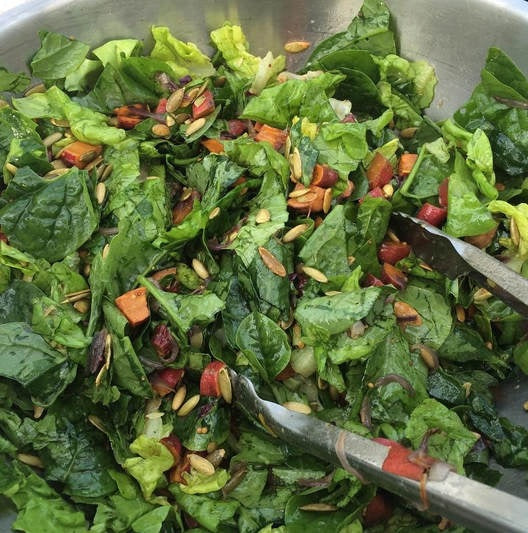 Malabar Spinach Green 15 -100 Seeds Vine Alugbati Mồng Tơi Nutrition packed Superfood!