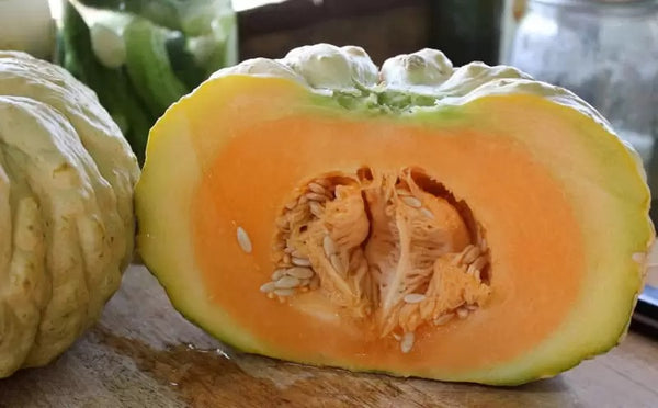 Prescott Fond Blanc Melon 20 - 200 Seeds Cantaloupe Fragrant Flavorful Heirloom