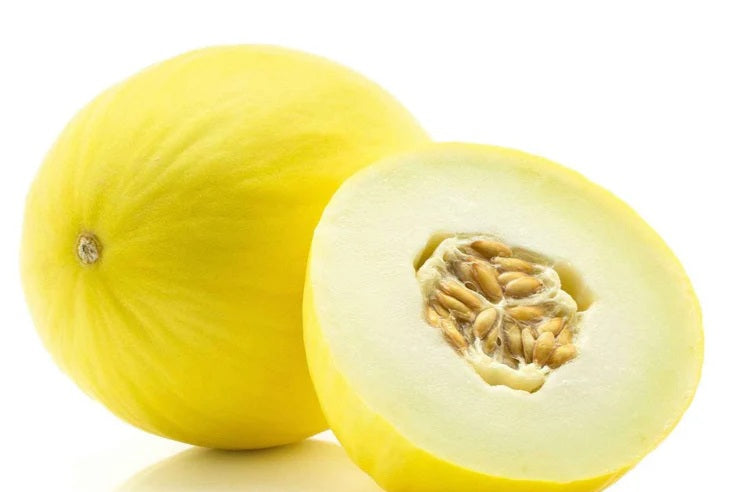 Golden 51 Delicious Cantaloupe Melon 20 - 100 - 200 Seeds Heirloom Heat tolerant Cooler climate