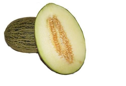 Many Varieties of Rare Melon Seeds Watermelon Musk Big Cantaloupe Garden